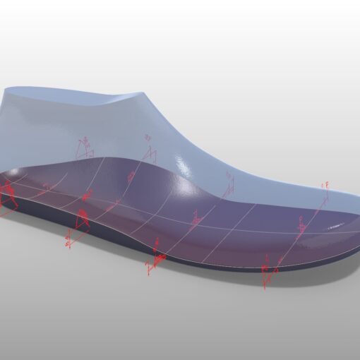 Parametric Insoles and Orthotic Inserts